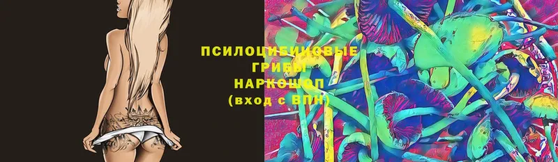 Псилоцибиновые грибы мухоморы  Чебоксары 